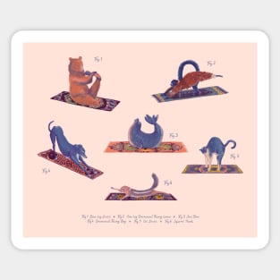 Animal Yoga Sticker